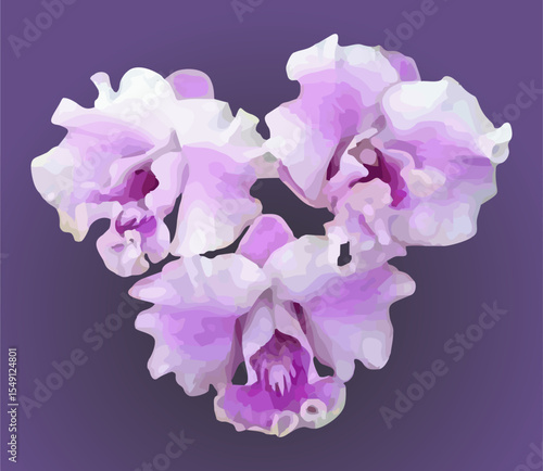 vector image of a violet purple orchid flower on a isolated