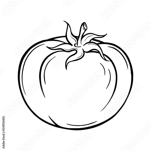 Hand-drawn tomato illustration. Vector vegetable sketch for organic product design, culinary use, food packaging, and eco-friendly branding.