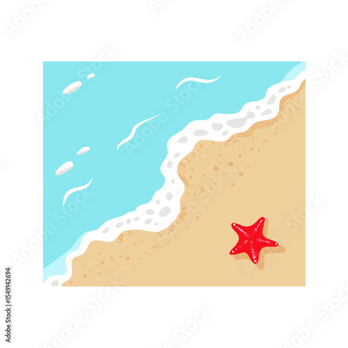 vector illustration of a vintage background with a starfish