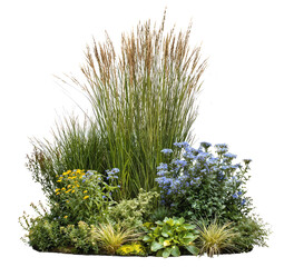 Decorative arrangement of various ornamental grasses and flowering plants featuring tall reed-like stems, colorful blooms and textured foliage for landscape design