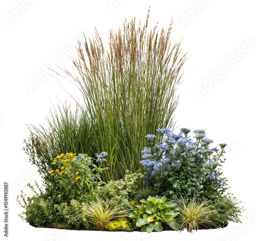 Decorative arrangement of various ornamental grasses and flowering plants featuring tall reed-like stems, colorful blooms and textured foliage for landscape design