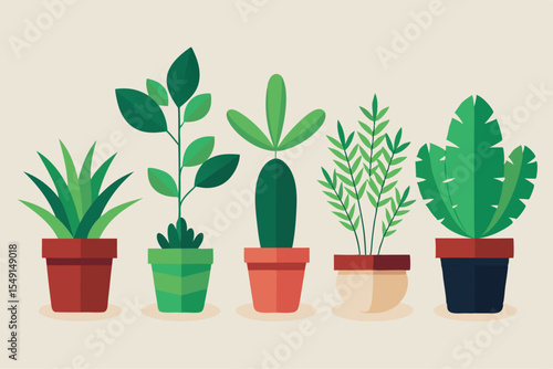 flower in pot