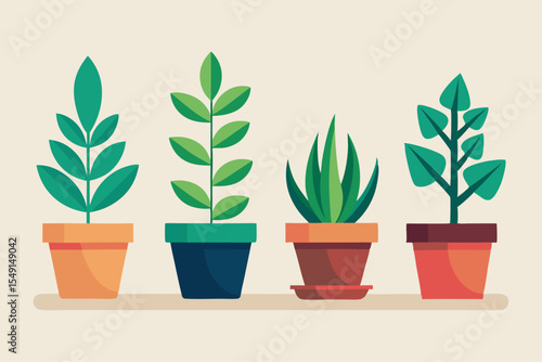 plant in pots