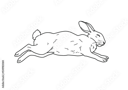 Dead rabbit drawing. This sketch shows a lifeless bunny lying still, resembling a motionless hare in peaceful repose. Vector sketch line art draw.