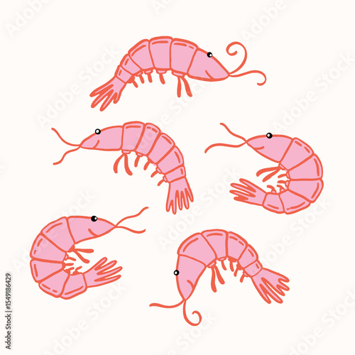 Set of hand drawn cute shrimps. Vector illustration on isolated background. Cute stylized illustration with decorative elements.