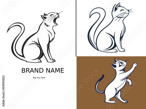 black and white cats