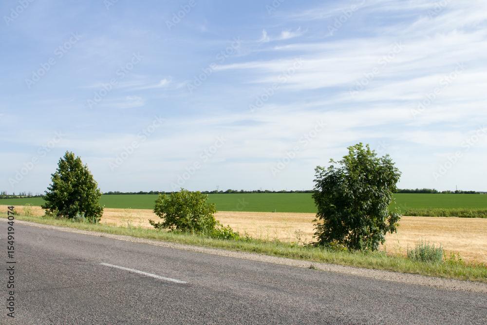 Fototapeta premium A road with grass and trees on the side