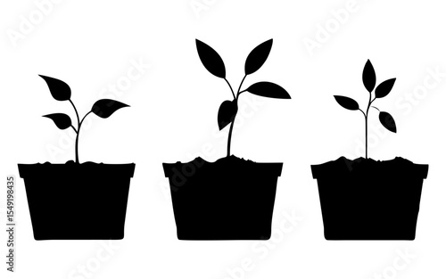 Set of plant's in pot's full black silhouette vector illustration design