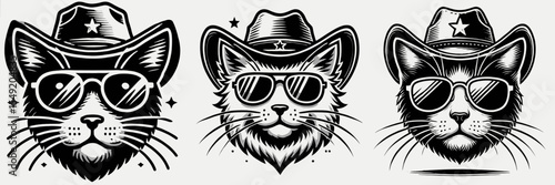 Domestic Shorthair Cat. Cowboy Western American Cartoon Animal Clipart Line Art Vector Illustration. Common house feline breed popular pet with short fur loved companion.