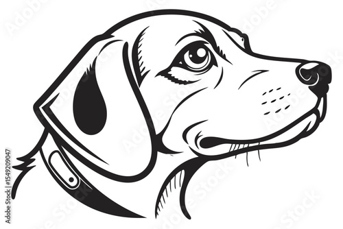 Black and white showcases a dog head with a collar and distinct features