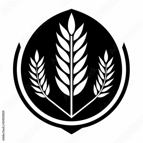 Three wheat grains isolated on white background