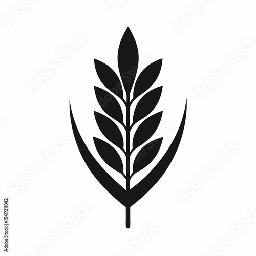 Wheat ear grain isolated on white background