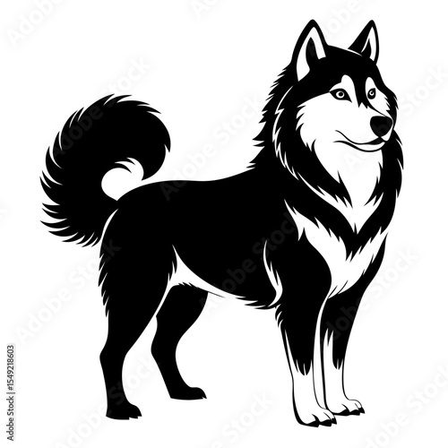 Alaskan malamute dog silhouette isolated on white background