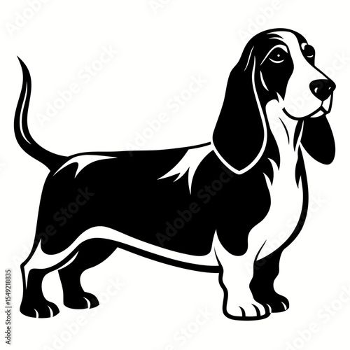 Basset hound dog silhouette isolated on white background