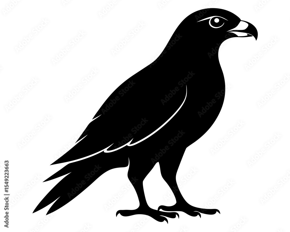 Obraz premium Hawk Bird Silhouette Vector Art