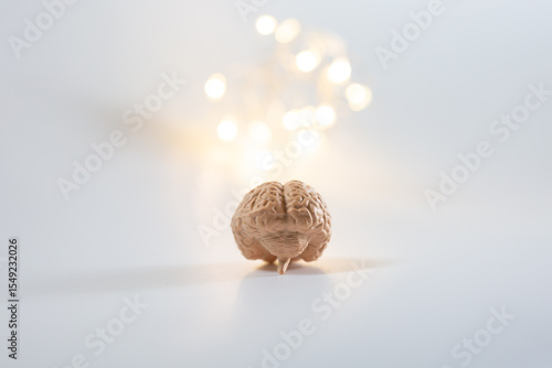 Fotografi 脳の模型と光 ひらめき 覚醒のイメージ ブレインストーミング brain