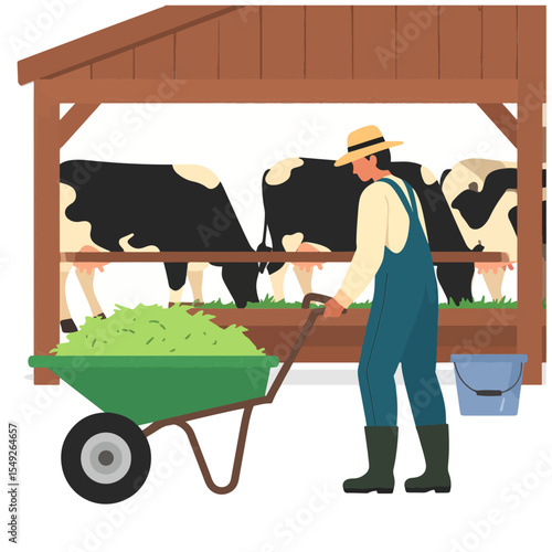 Farmer feeding cows in a shed