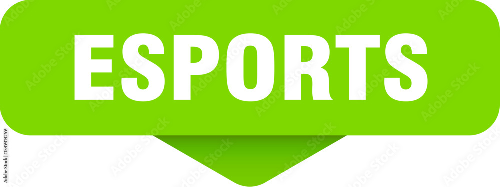 Fototapeta premium esports sticker. esports sign on transparent background