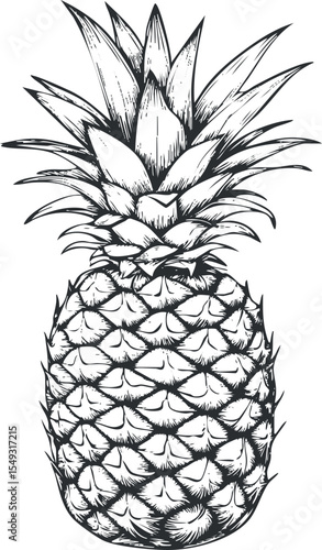 Black and white hand drawn sketch of a whole ripe pineapple with detailed leaves and textured skin.