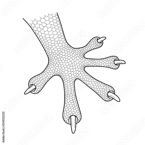 Scaled foot with claws, rendered in monochrome lines, displays a clawed, scaled creature appendage