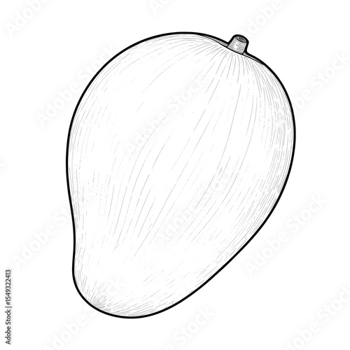 The solitary drawing of a stylized, oblong fruit, showcasing detailed rind texture
