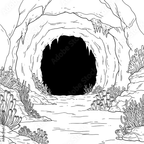 A cavern's dark mouth, marine life and rocks outline the opening, a black hole interior