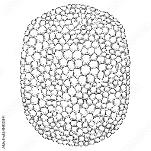 pebble dome an artful drawing of varying sized pebbles filling a domed space on white