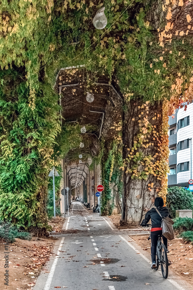 Fototapeta premium Vertical view: Cyclist on vine-covered path in Green tunnel under railway viaduct, Girona, Spain. A unique urban space blending nature and infrastructure