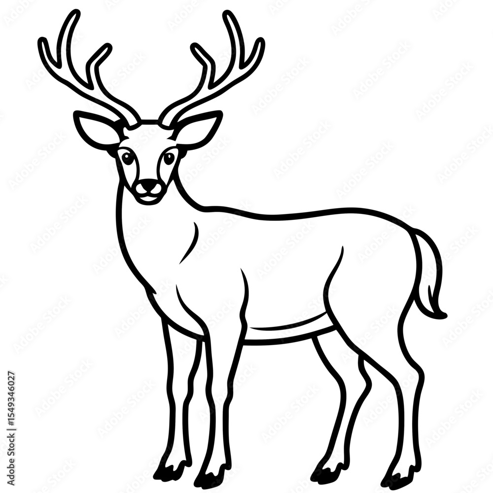 Wapiti and Vole Outline Art in Vector Style Wapiti and Vole Outline Art in Vector Style