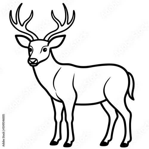 Wapiti and Vole Outline Art in Vector Style