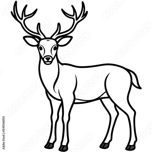 Wapiti and Vole Outline Art in Vector Style