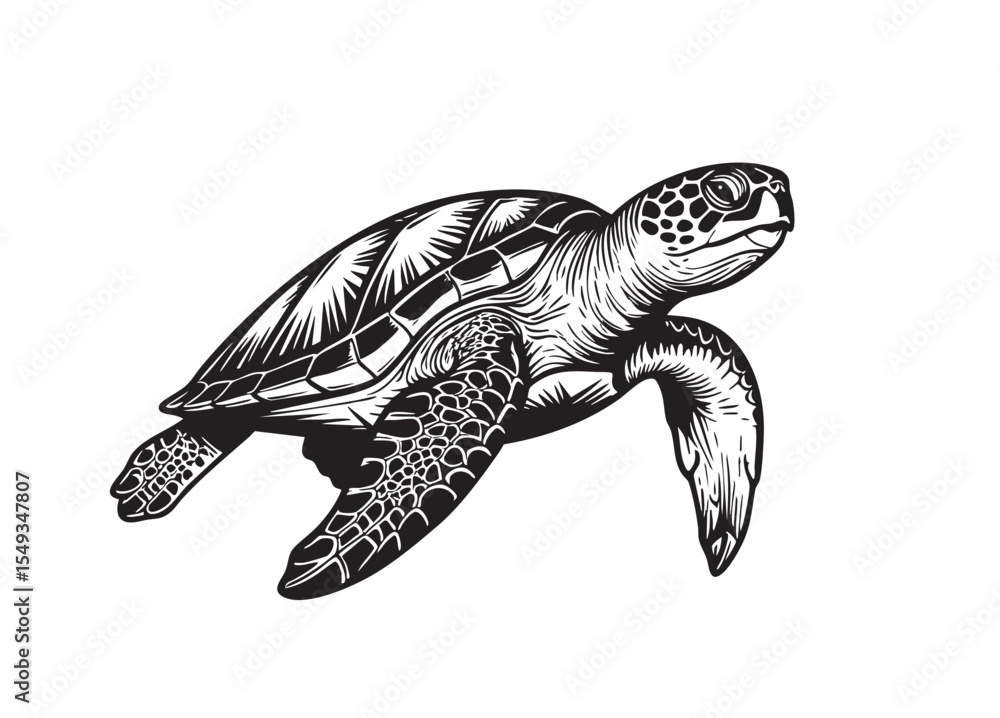 Obraz premium Vector illustration of a graceful sea turtle swimming, Undersea animals.