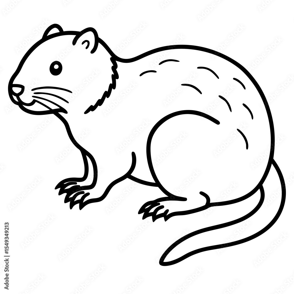 Obraz premium Water Vole Silhouette Vector in Fine Line Style