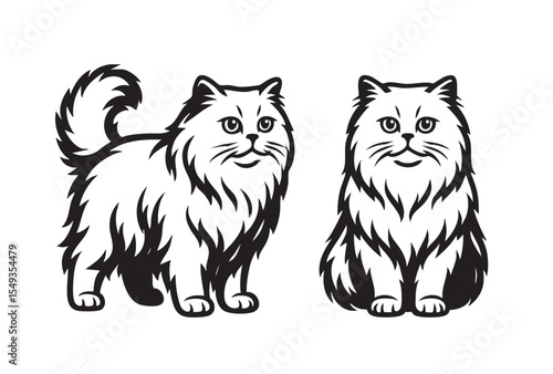 Vector illustration of two british longhair cats, one standing and one sitting, Pet