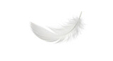  A soft white feather with fine details and light shadow, floating mid-air, isolated on white background.