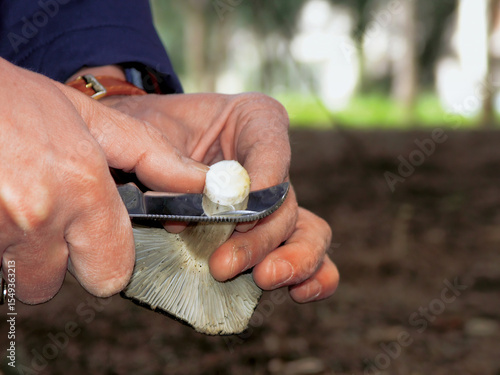 Mycologist cleaning mushroom with knife in the forest