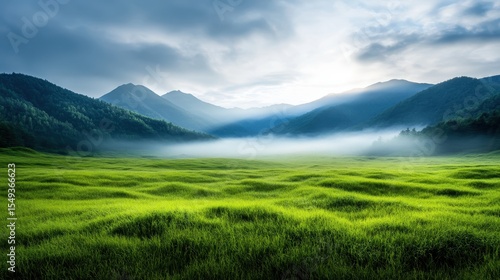 A breathtaking view of a lush green field framed by majestic mountains, enveloped in soft mist, capturing the essence of natural beauty and tranquility.