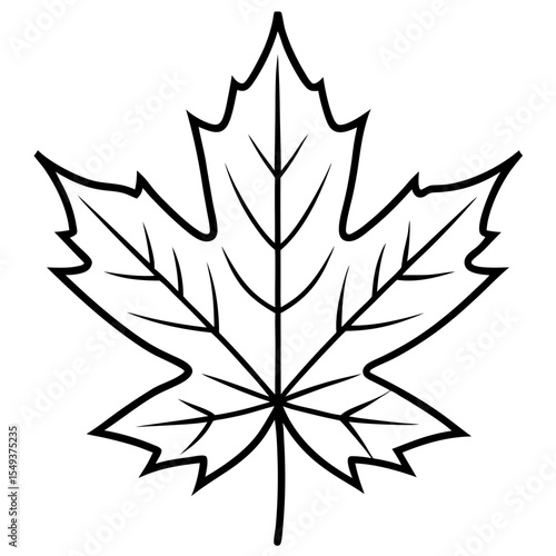 Maple line art vector