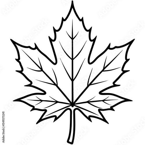 Maple line art vector