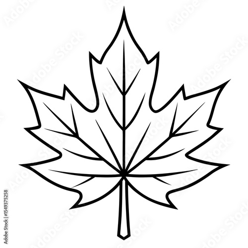 Maple line art vector