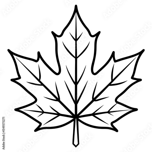 Maple line art vector