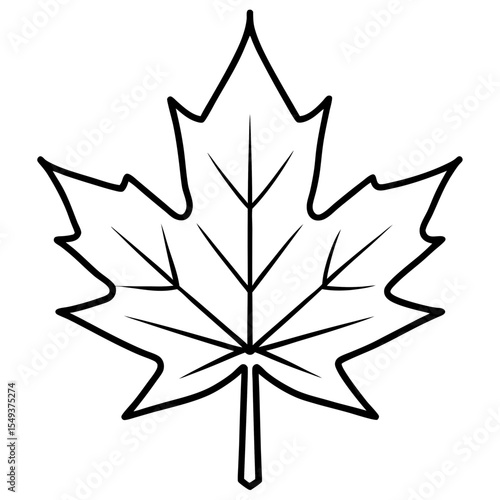Maple line art vector