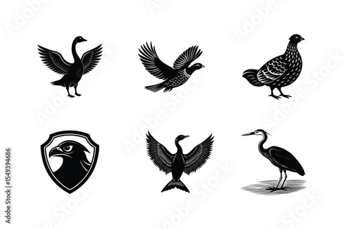 Six black silhouettes of birds in flight and resting
