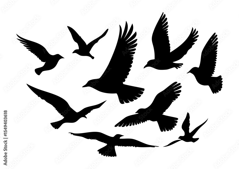 Obraz premium 鳥シルエット