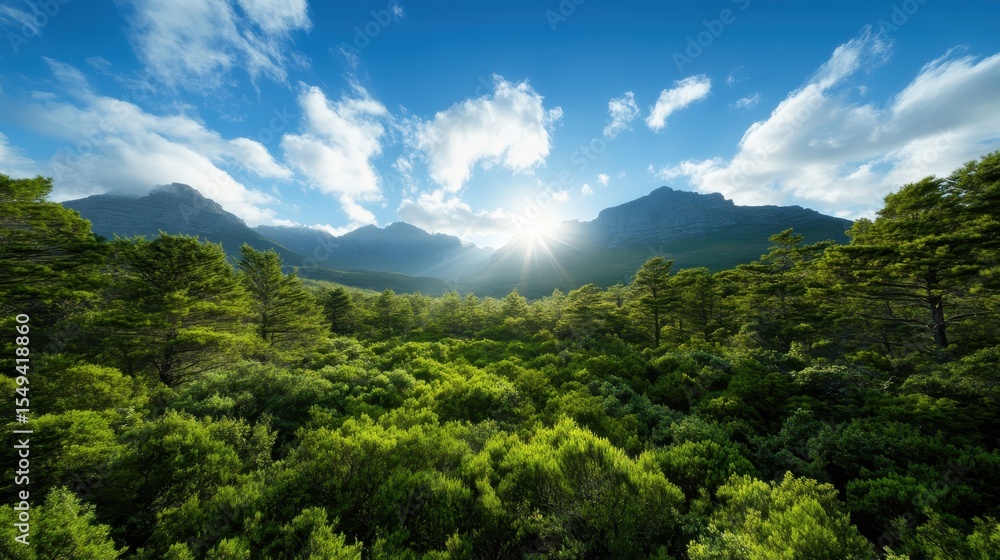 Obraz premium A stunning landscape featuring sun rays piercing through fluffy clouds over a vibrant green forest, framed by imposing mountain silhouettes in a captivating natural setting.