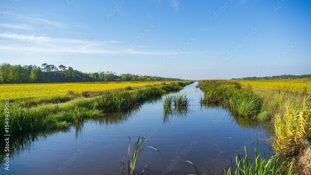 Serene river flowing through lush fields under blue sky. Serene river flowing through lush fields under blue sky.