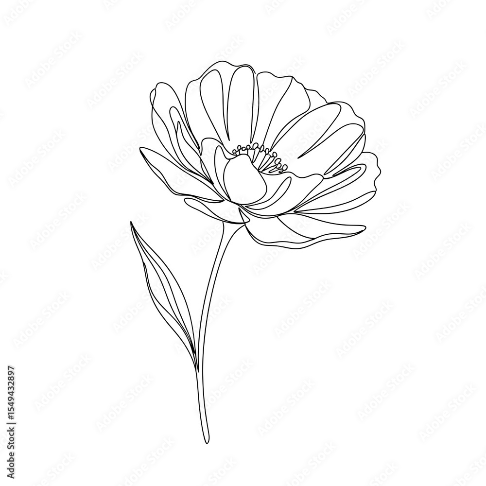 Obraz premium Single Line Drawing of a Blooming Flower on White Background