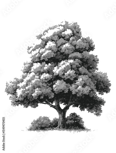 Black and White Illustration of a Majestic Tree with Detailed Leaves