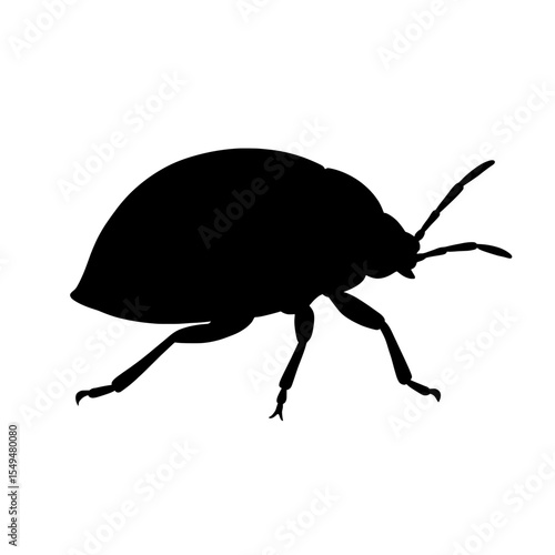 Silhouette of a Kudzu Bug Insect with Detailed Legs and Antennae