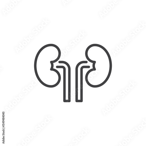 Kidneys urinary system line icon